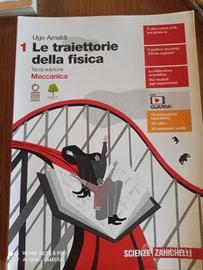Le traiettorie della fisica 