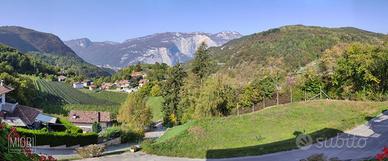 Terreno, Drena.