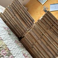 Enciclopedia the royal Horticultural Society