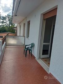 Trelocali libero subito con 2 balconi e box