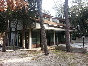 Ristorante con appartamento immerso nel verde -