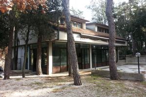 Ristorante con appartamento immerso nel verde -