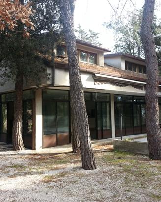 Ristorante con appartamento immerso nel verde -