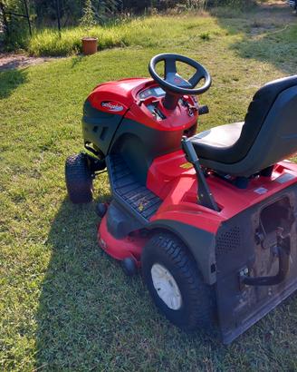 Trattorino castelgarden 14 cv tagliando revisione 