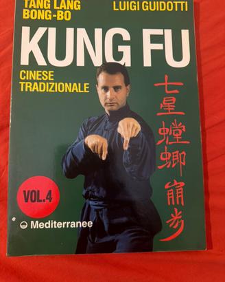 kung fu tradìzionale cinese Vol. 4 Luigi Guidotti