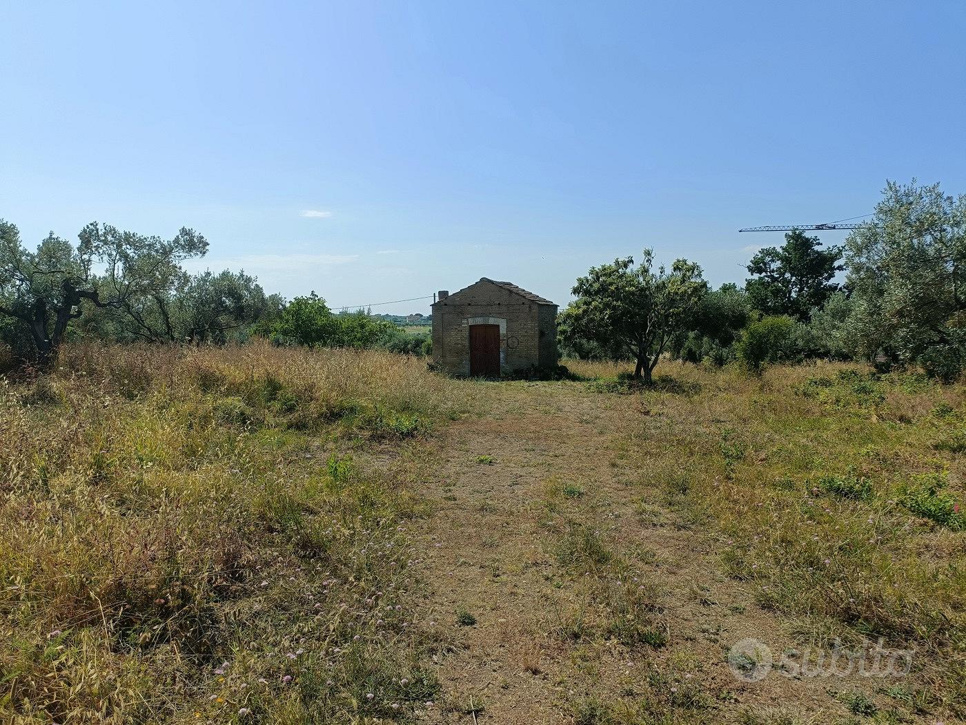 Terreno Residenziale Vasto [IM202535VRG] - Altro