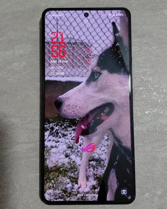 Asus Rog Phone 8 pro