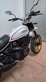 Ducati desert spled
