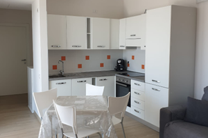 Stagionale o Annuale