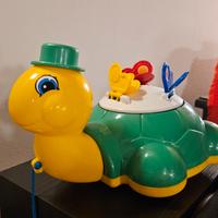 Tartaruga bambino