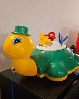 Tartaruga bambino