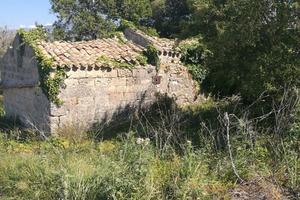 Terreno mq 4000 con rudere Buseto Palizzolo (TP)