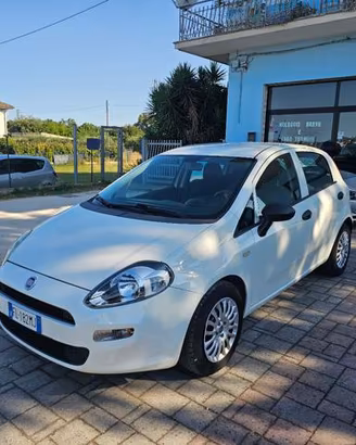 FIAT Punto 1.3 MJT II S&S 95 CV 5 porte Street
