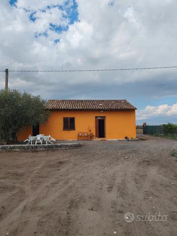 4 Vani Terreno Con Casa Indipendente