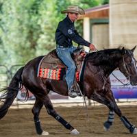 Quarter horse da reining