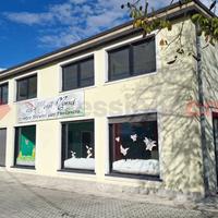 Attività Commerciale Anagni [Cod. rif 3263119VCG]