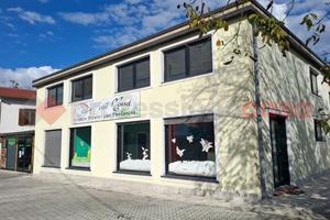 Attività Commerciale Anagni [Cod. rif 3263119VCG]