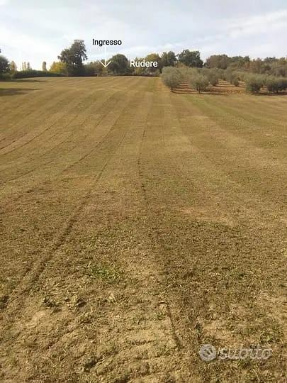 Terreno con rudere - Vista 3