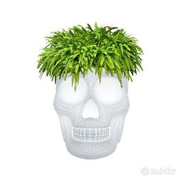 QEEBOO MEXICO PLANTER  AND CHAMPAGNE COOLER