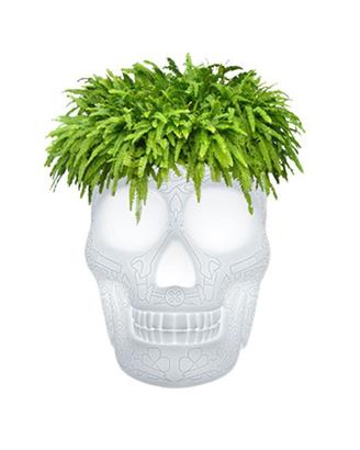 QEEBOO MEXICO PLANTER  AND CHAMPAGNE COOLER