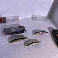 Esche per bassfishig