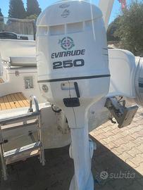 MOTORE EVINRUDE 250 ficht ram iniezione diretta