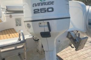 MOTORE EVINRUDE 250 ficht ram iniezione diretta