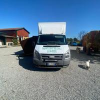 Ford Transit van trasporto due cavalli
