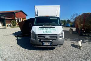 Ford Transit van trasporto due cavalli