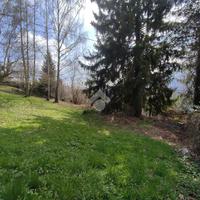 TER. RESIDENZIALE A FERRARA DI MONTE BALDO
