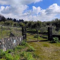 Rif.FP8| terreno agricolo belpasso