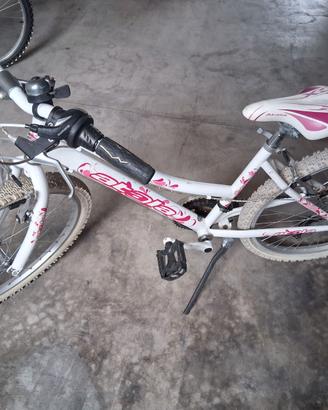 Bicicletta da ragazza