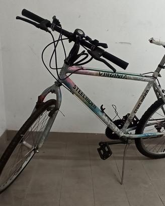 mountain bike 
