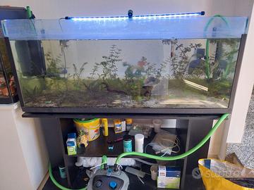 acquario