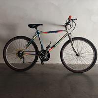 bicicletta bici MTB passeggio 