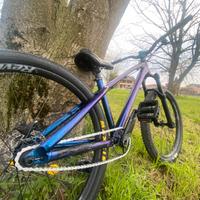 Dartmoor 26 player pro