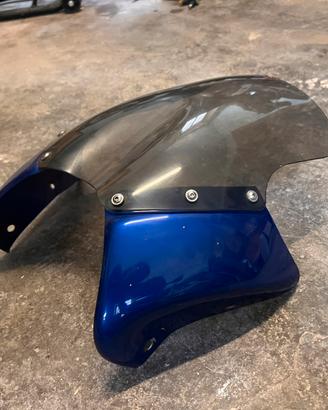Cupolino Honda Hornet 600
