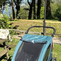 Passeggino/ rimorchio Hauk