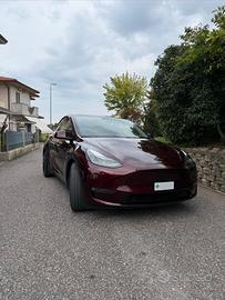 Tesla Model Y Performance 2023