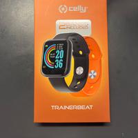 Smartwatch