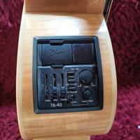 chitarra  acustica elettrificata