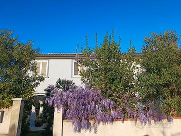 Appartamento con terrazza san vincenzo