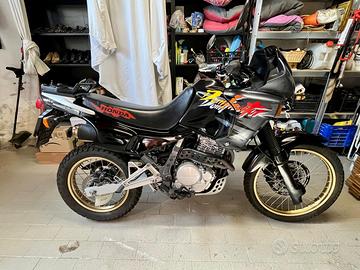 Honda Dominator