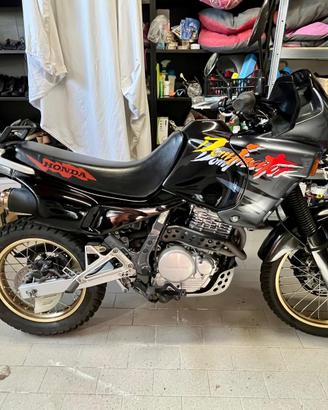 Honda Dominator