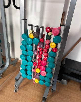 Set manubri da 1kg a 14kg