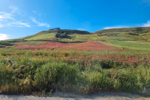 Terreno 80.000 mq
