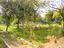 Immagine 26
