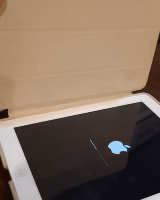 ipad con custodia