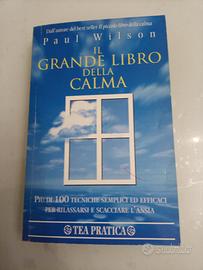 Il grande libro della calma di Paul Wilson TEA