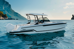 Wellcraft 28 T-Top e Explorer
